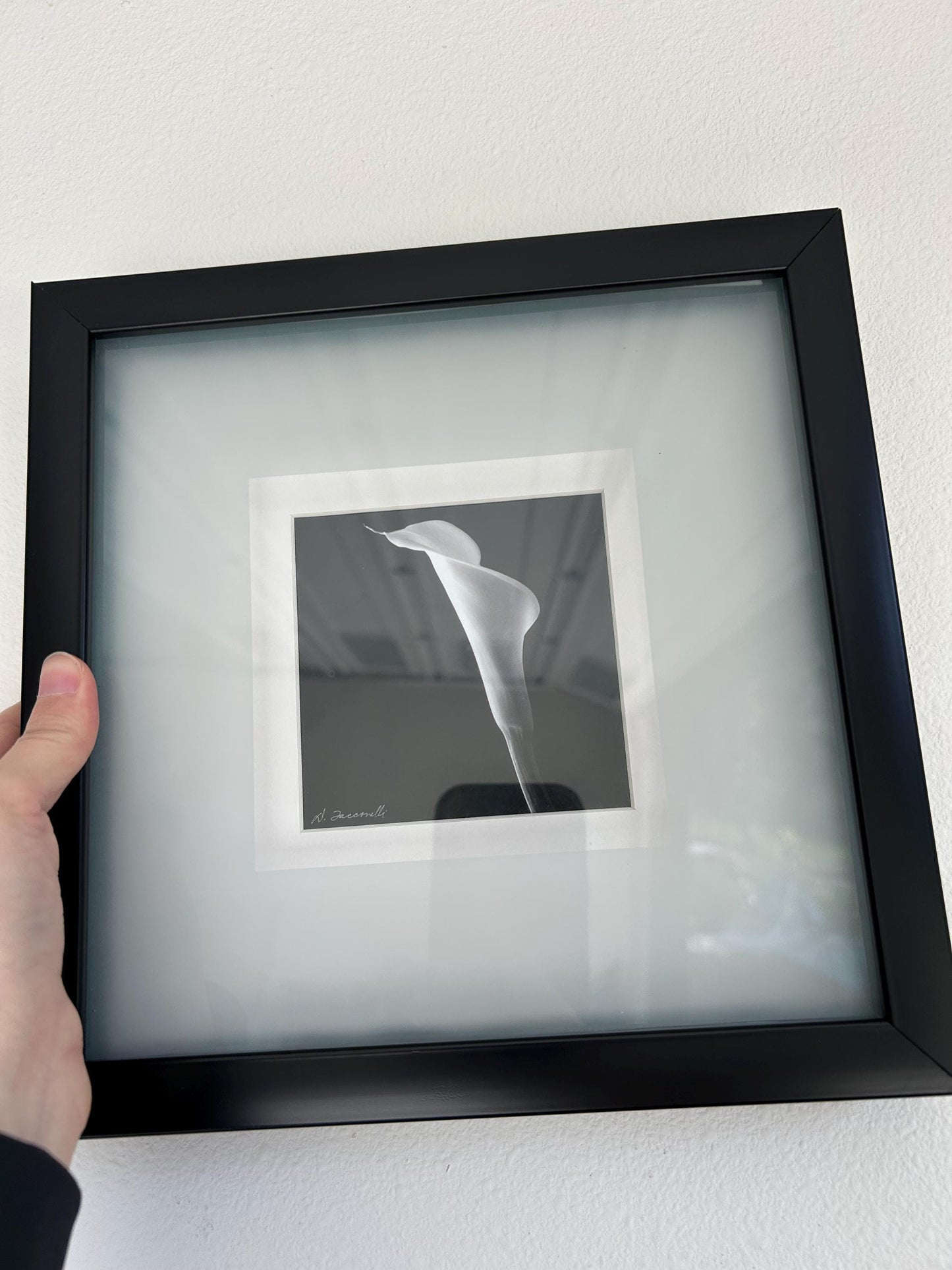 Signed Black & White Calla Lily Photograph | Shadow Box Frame | Vintage Wall Art | Floral Fine Art Print
