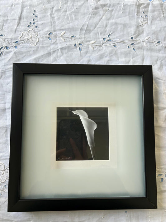 Signed Black & White Calla Lily Photograph | Shadow Box Frame | Vintage Wall Art | Floral Fine Art Print