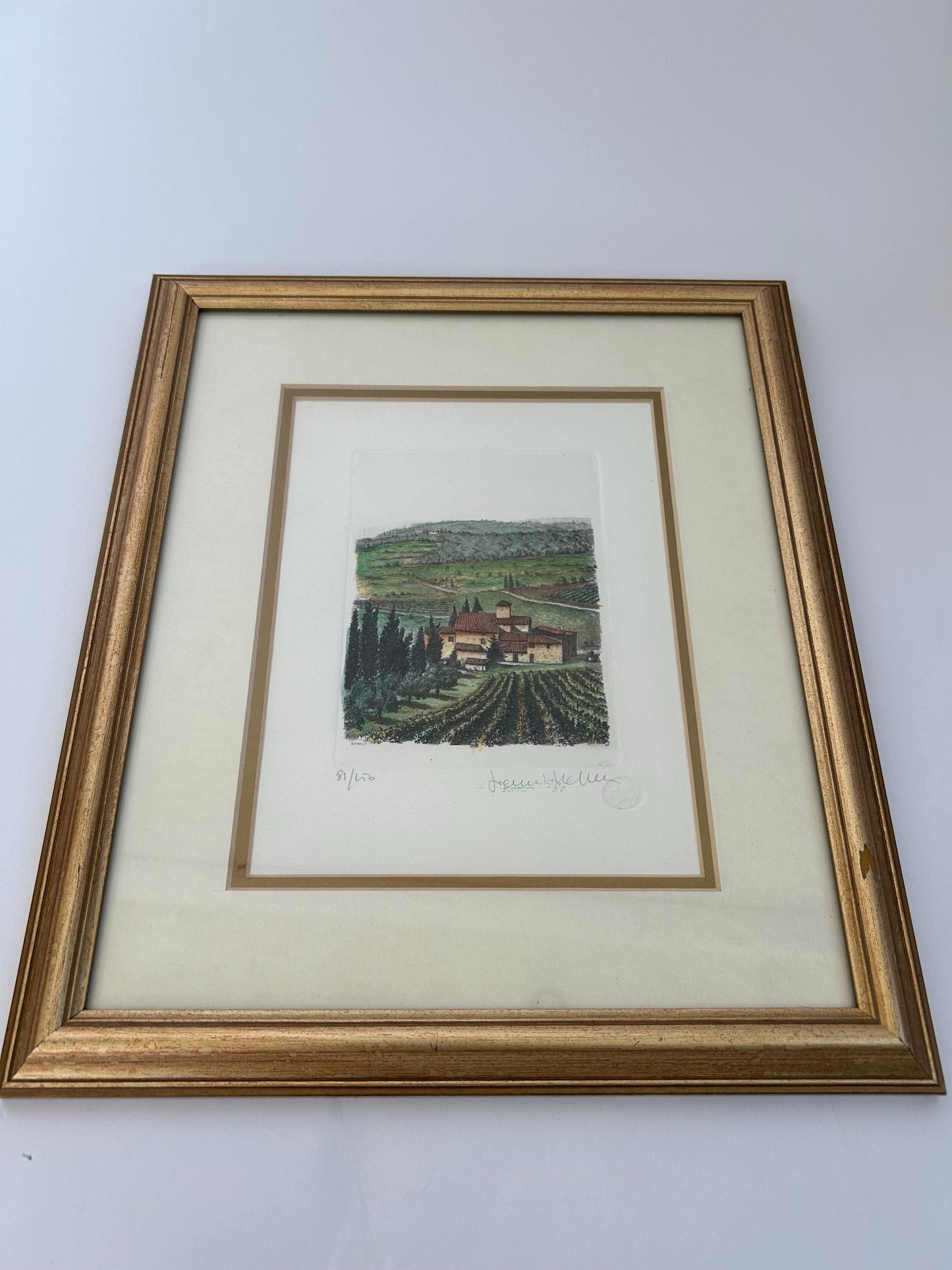 Gianni Raffaelli Signed Italian Landscape Etching - Hand-Colored Limited Edition 81/450-Framed & Matted Tuscany Vineyard Art-Florence Artist