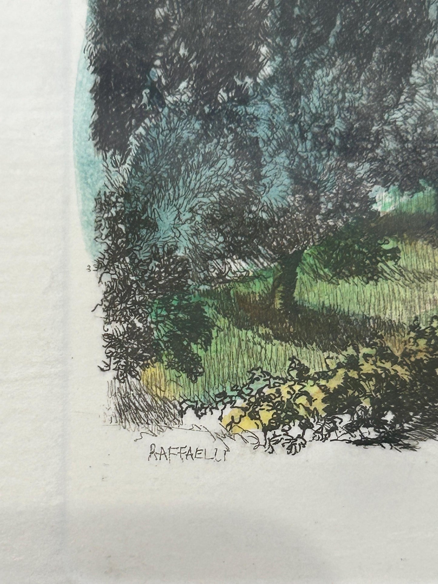 Gianni Raffaelli Signed Italian Landscape Etching - Hand-Colored Limited Edition 81/450-Framed & Matted Tuscany Vineyard Art-Florence Artist
