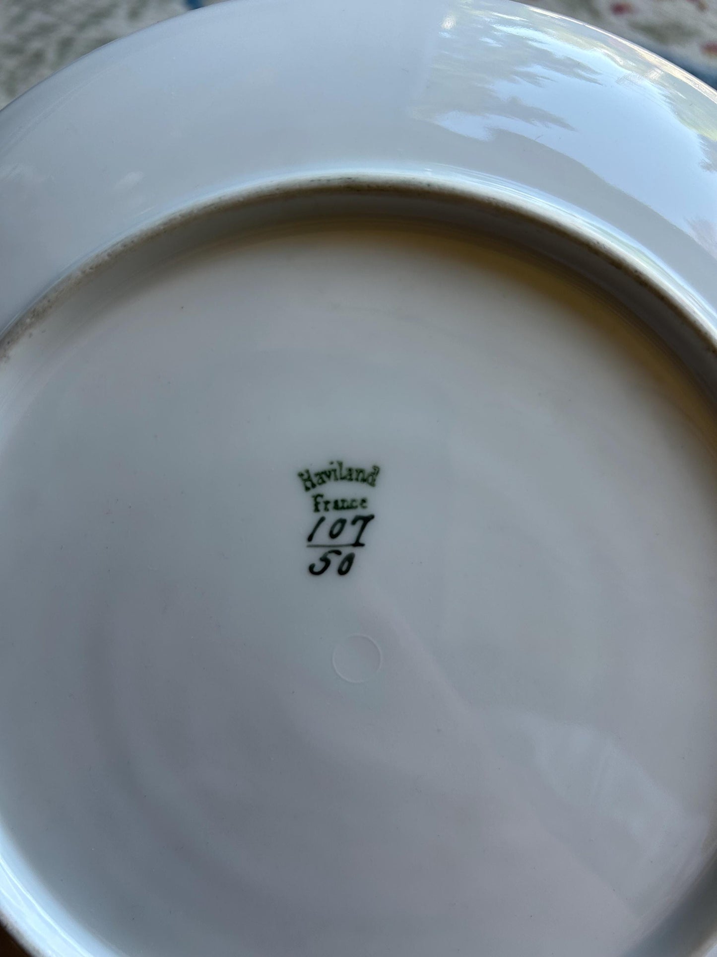 Antique Haviland France Limoges Hand Painted Rose Plate - 9" Luncheon Plate - Victorian Floral Gilt Rim - Exceptional French Porcelain Art