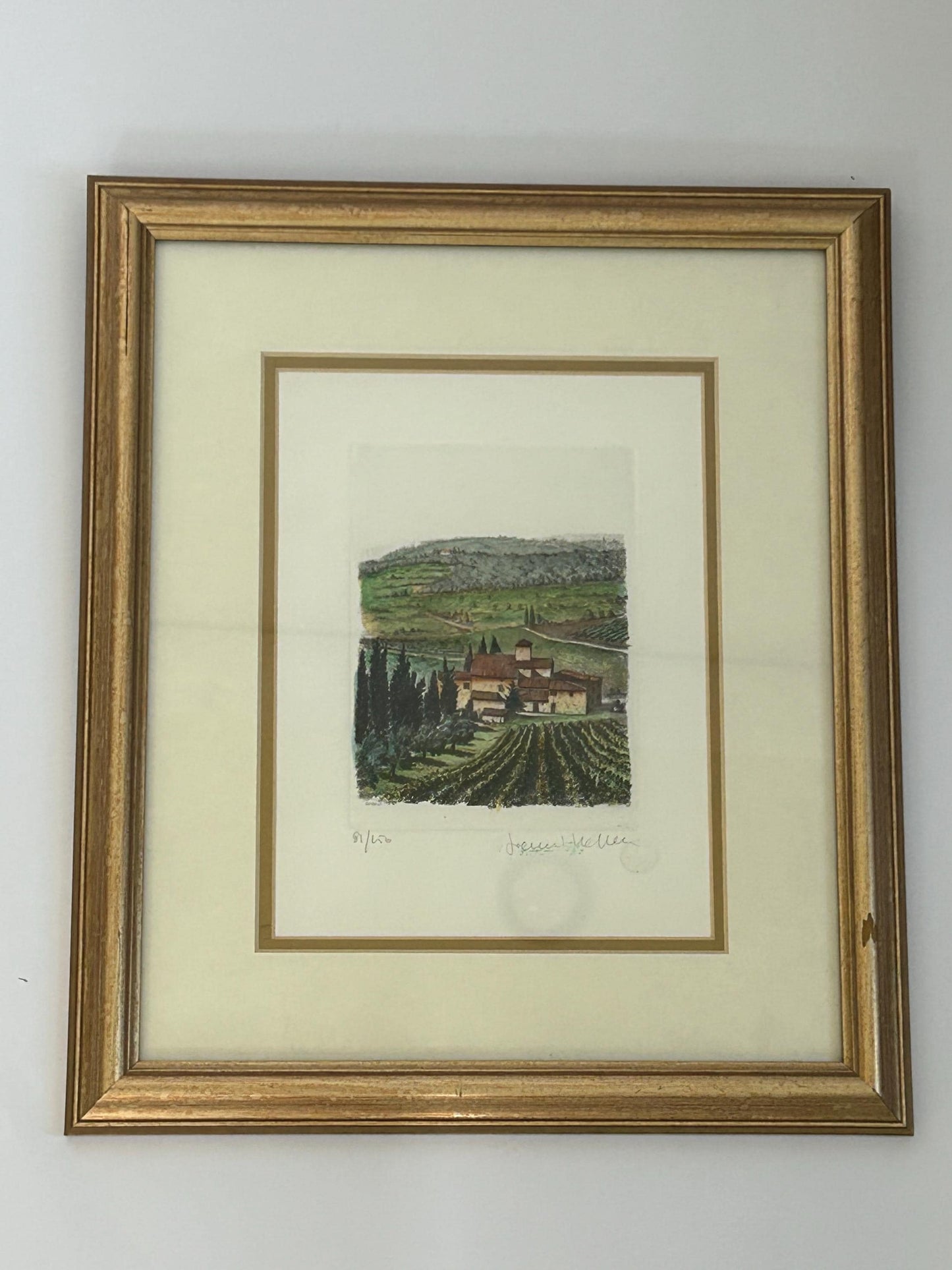 Gianni Raffaelli Signed Italian Landscape Etching - Hand-Colored Limited Edition 81/450-Framed & Matted Tuscany Vineyard Art-Florence Artist