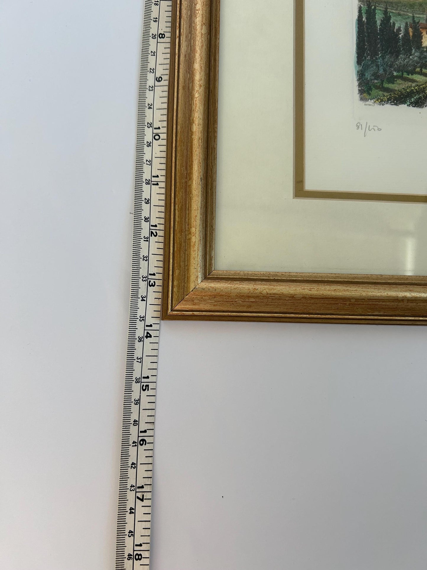 Gianni Raffaelli Signed Italian Landscape Etching - Hand-Colored Limited Edition 81/450-Framed & Matted Tuscany Vineyard Art-Florence Artist